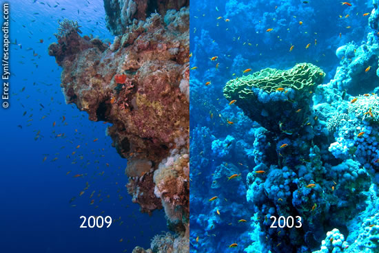 The wall of the Blue Hole at 2003 and 2009: the damage is evident